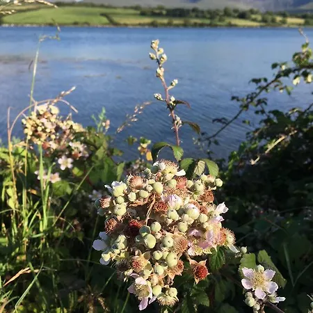 O'connors Bed & Breakfast