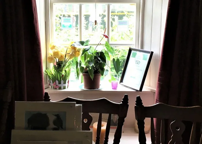 O'connors ベッド・アンド・ブレックファスト Faha (Cloghane)