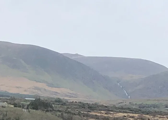 ベッド・アンド・ブレックファスト O'connors